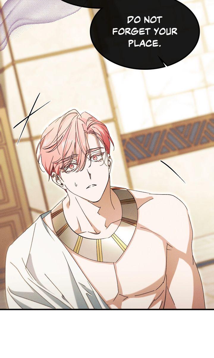 The Snake that Swallowed the Pomegranate Chapter 37 page 90 - 