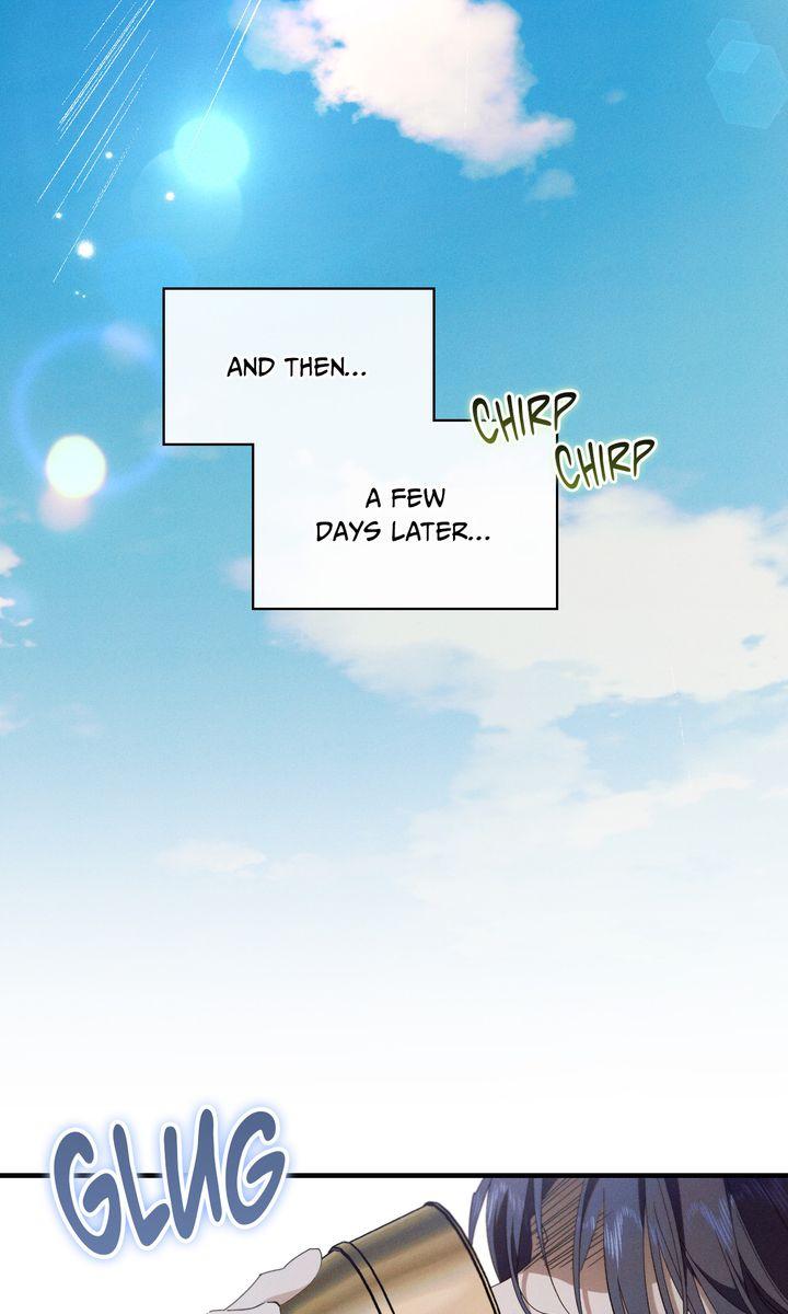 The Snake that Swallowed the Pomegranate Chapter 37 page 10 - 