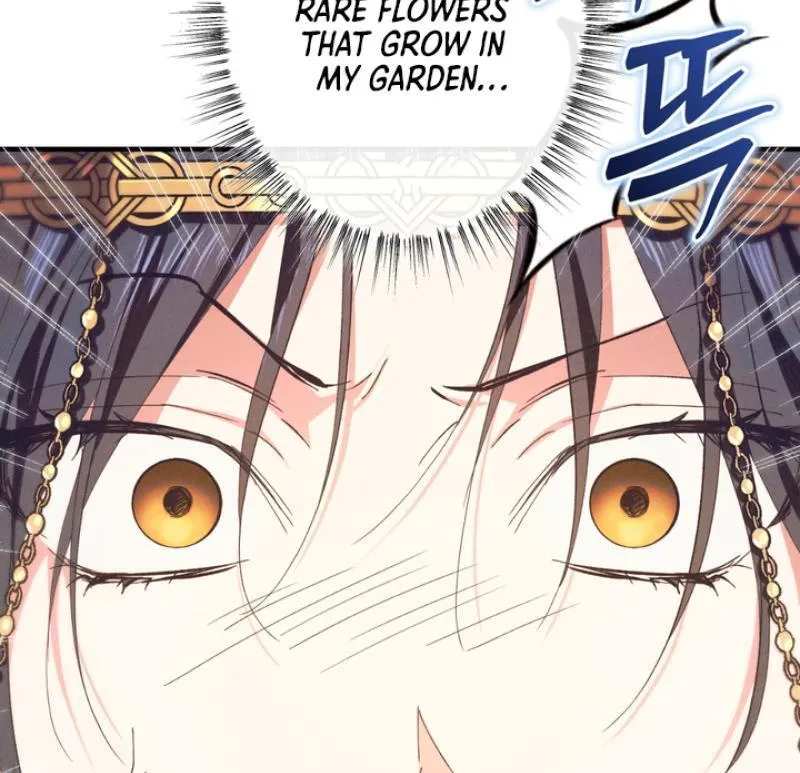 The Snake that Swallowed the Pomegranate Chapter 4 page 95 - 