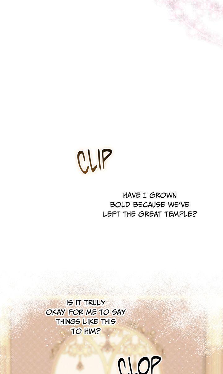 The Snake that Swallowed the Pomegranate Chapter 40 page 19 - 