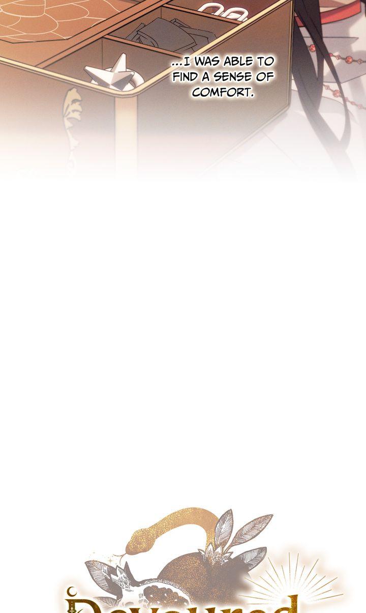 The Snake that Swallowed the Pomegranate Chapter 40 page 29 - 