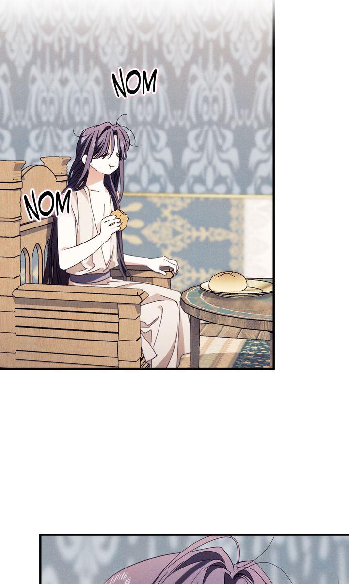 The Snake that Swallowed the Pomegranate Chapter 40 page 65 - 