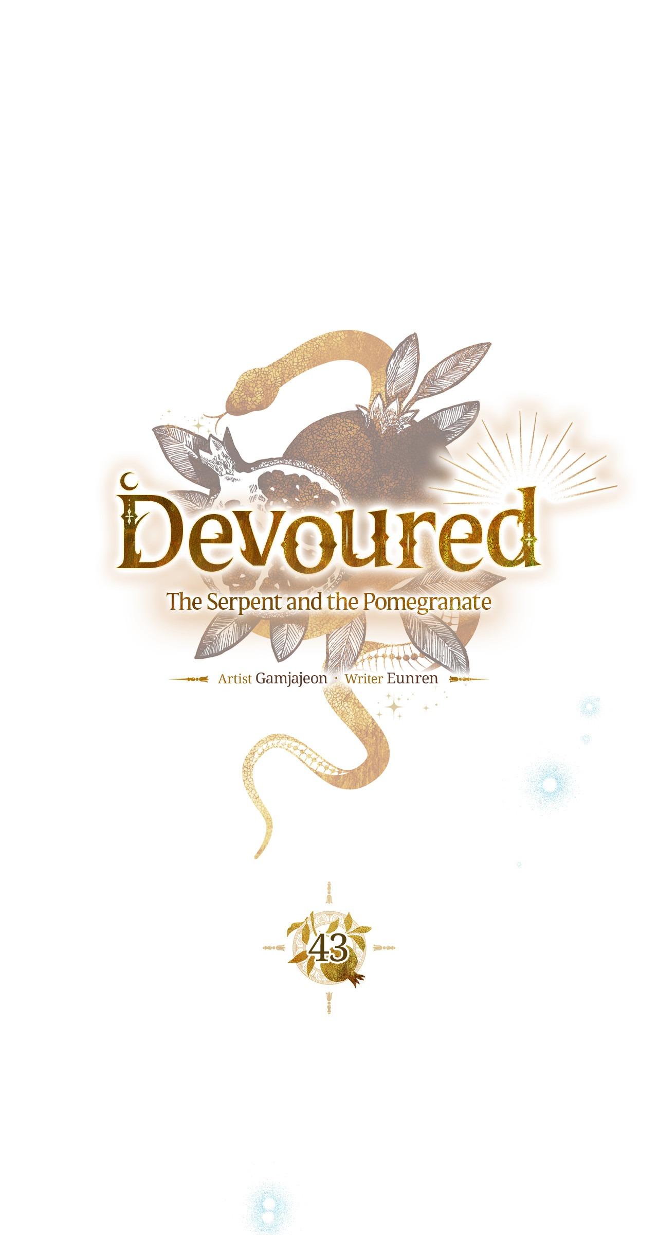 The Snake that Swallowed the Pomegranate Chapter 43 page 16 - 