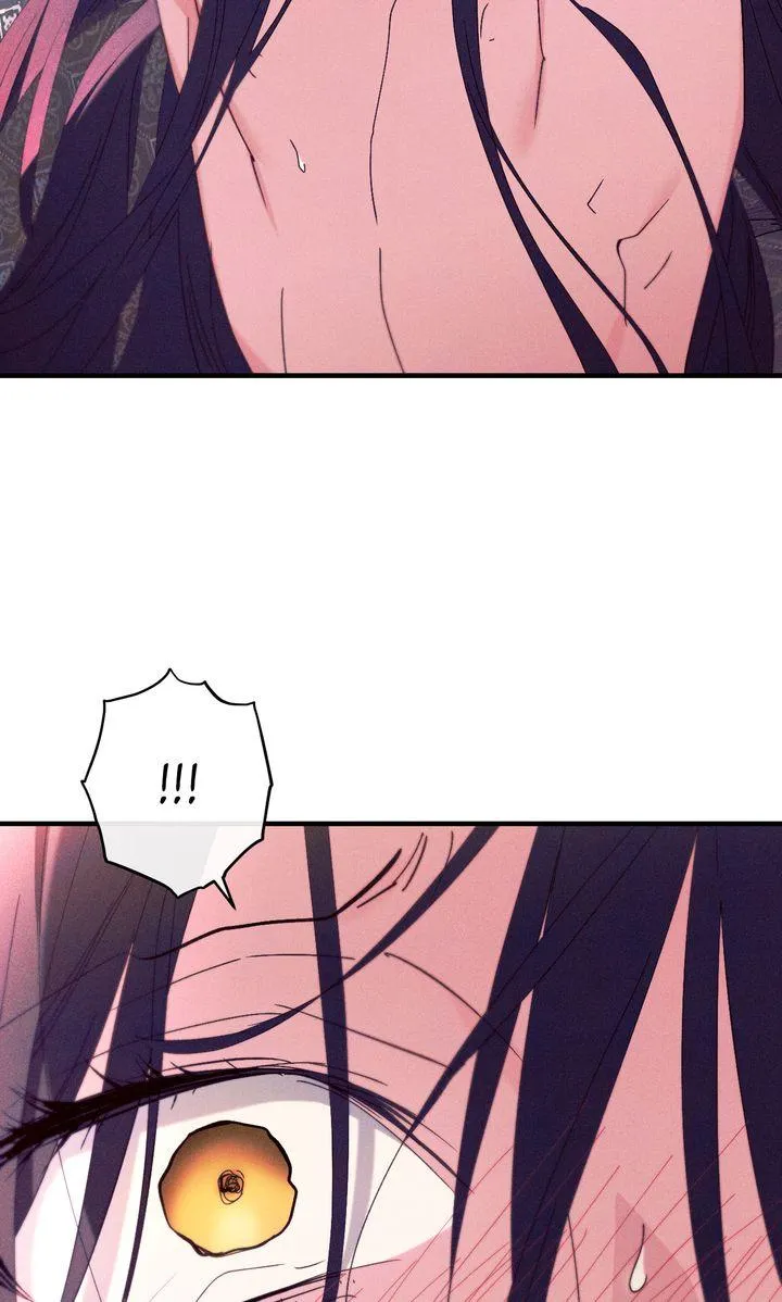 The Snake that Swallowed the Pomegranate Chapter 49 page 101 - 