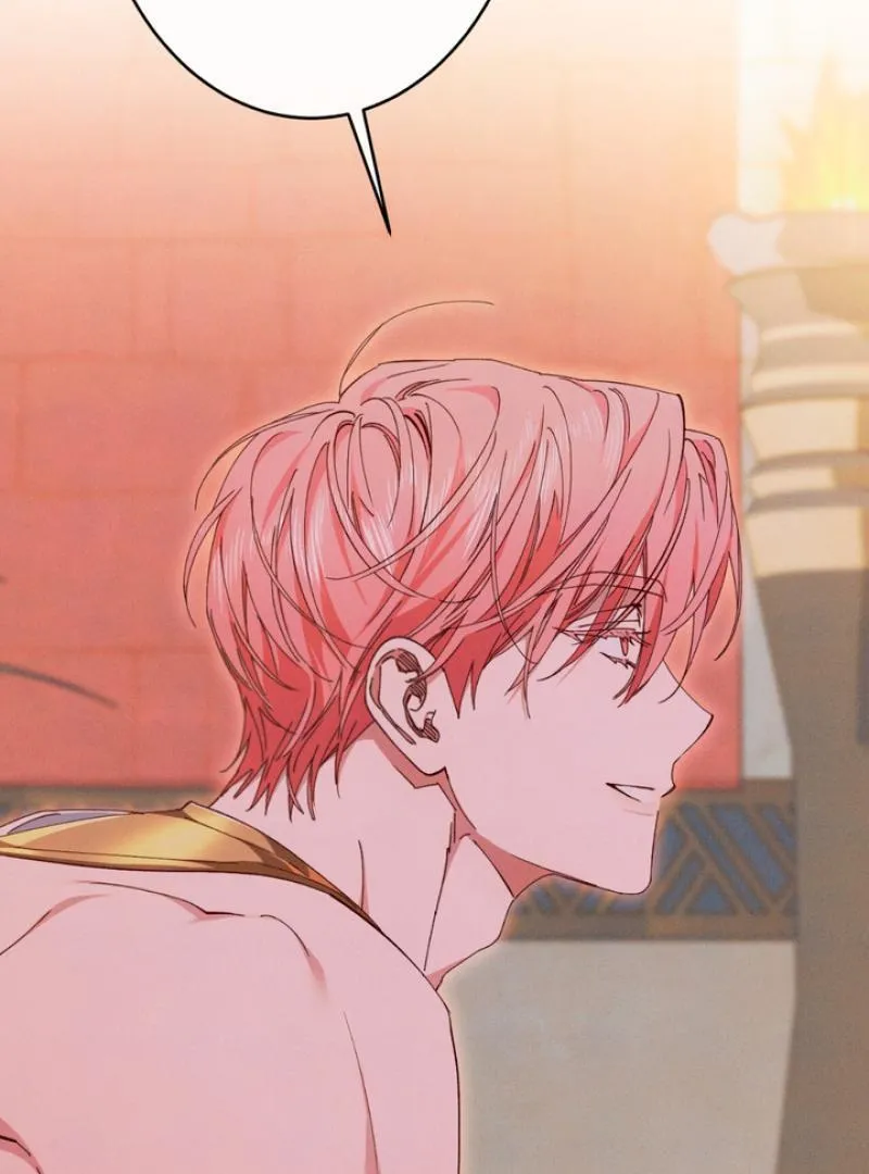 The Snake that Swallowed the Pomegranate Chapter 5 page 5 - 