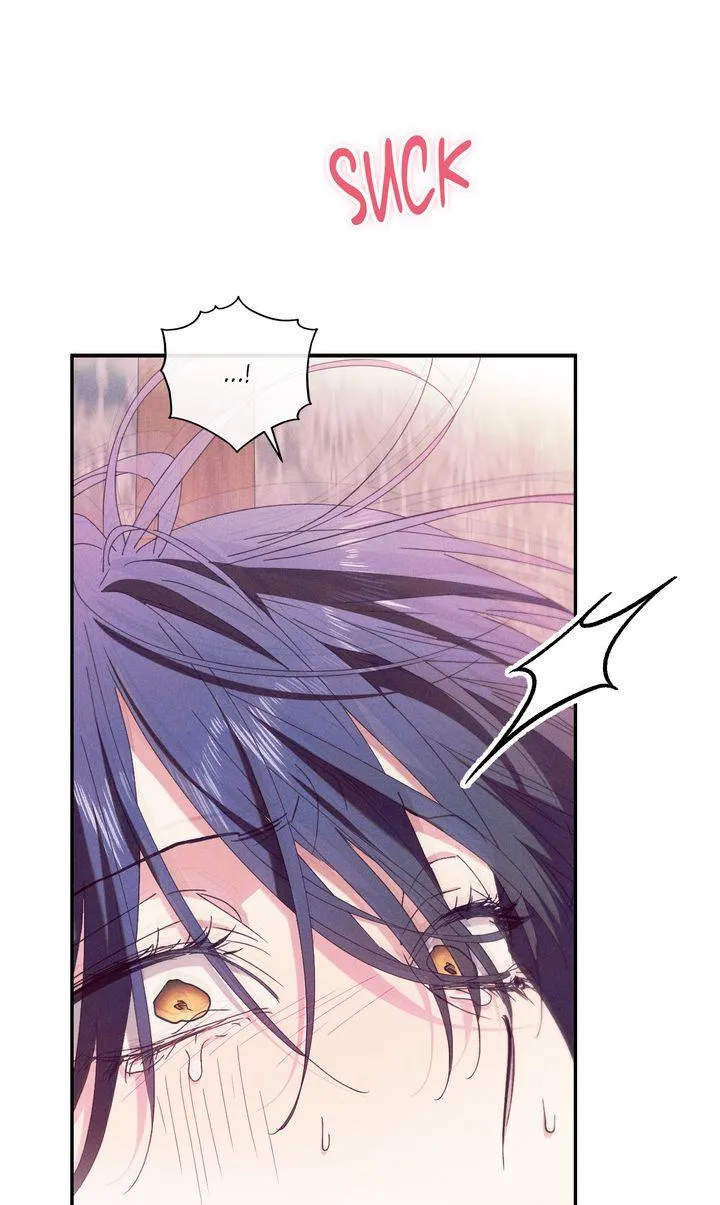 The Snake that Swallowed the Pomegranate Chapter 50 page 11 - 