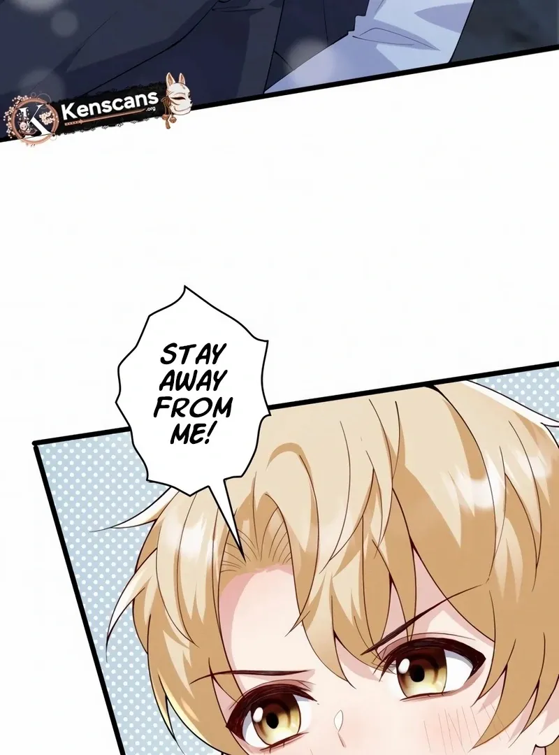 The Sold Young Lady Is Protected by Her Brothers Chapter 1 page 39 - 