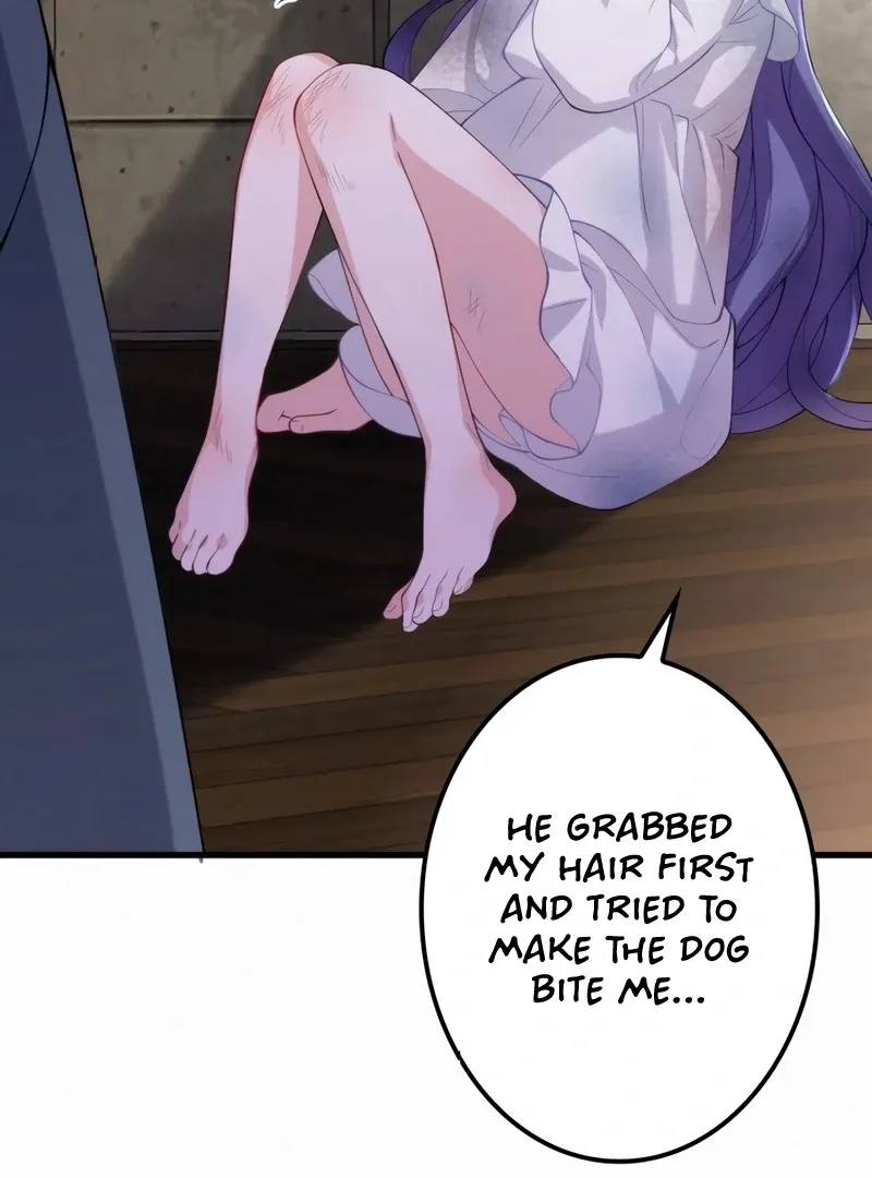 The Sold Young Lady Is Protected by Her Brothers Chapter 1 page 8 - 