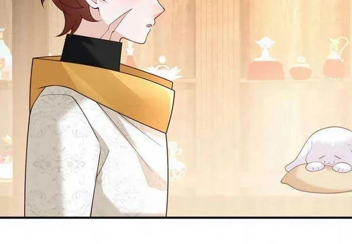 The Sold Young Lady Is Protected by Her Brothers Chapter 11 page 45 - 