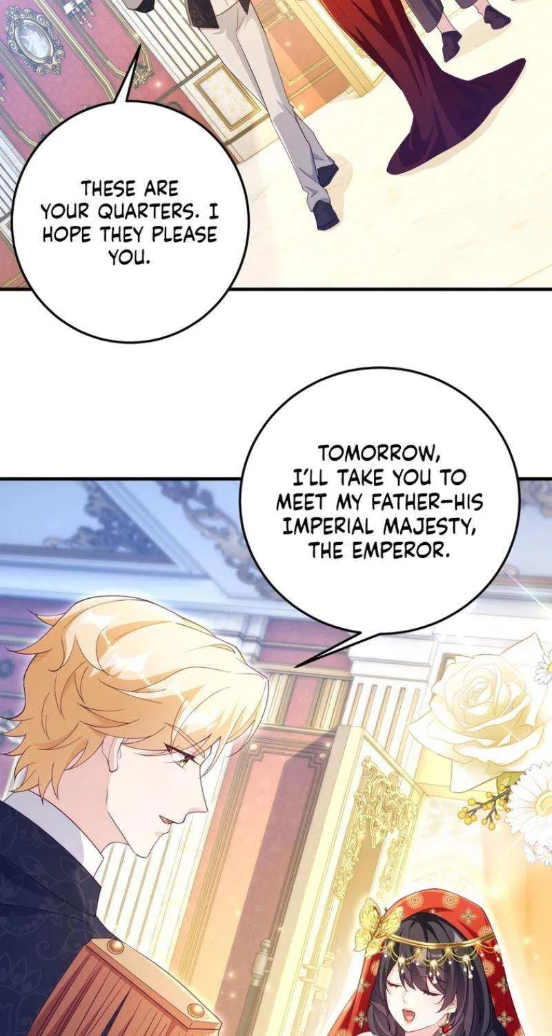 The Sold Young Lady Is Protected by Her Brothers Chapter 24 page 12 - 