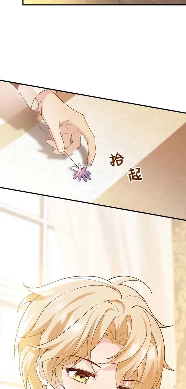 The Sold Young Lady Is Protected by Her Brothers Chapter 7 page 15 - 
