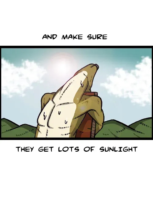 The Sound of Your Heart Chapter 2.3 page 41 - 