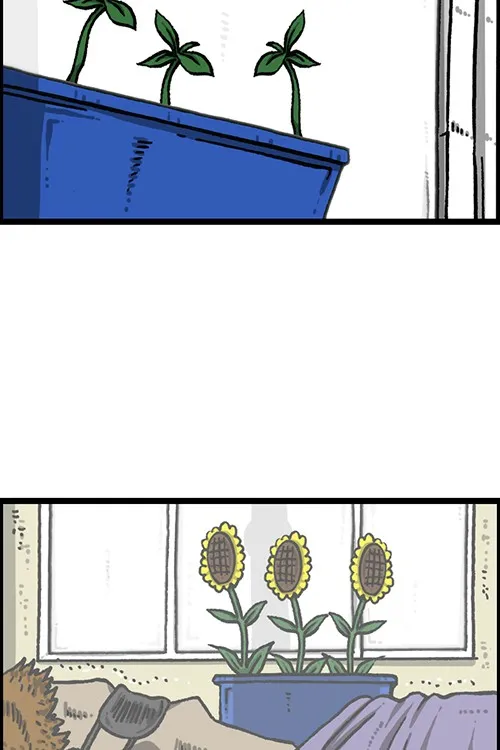 The Sound of Your Heart Chapter 492 page 12 - 