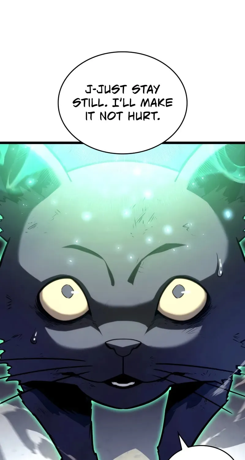 The SSS-Ranker Returns Chapter 155 page 115 - 