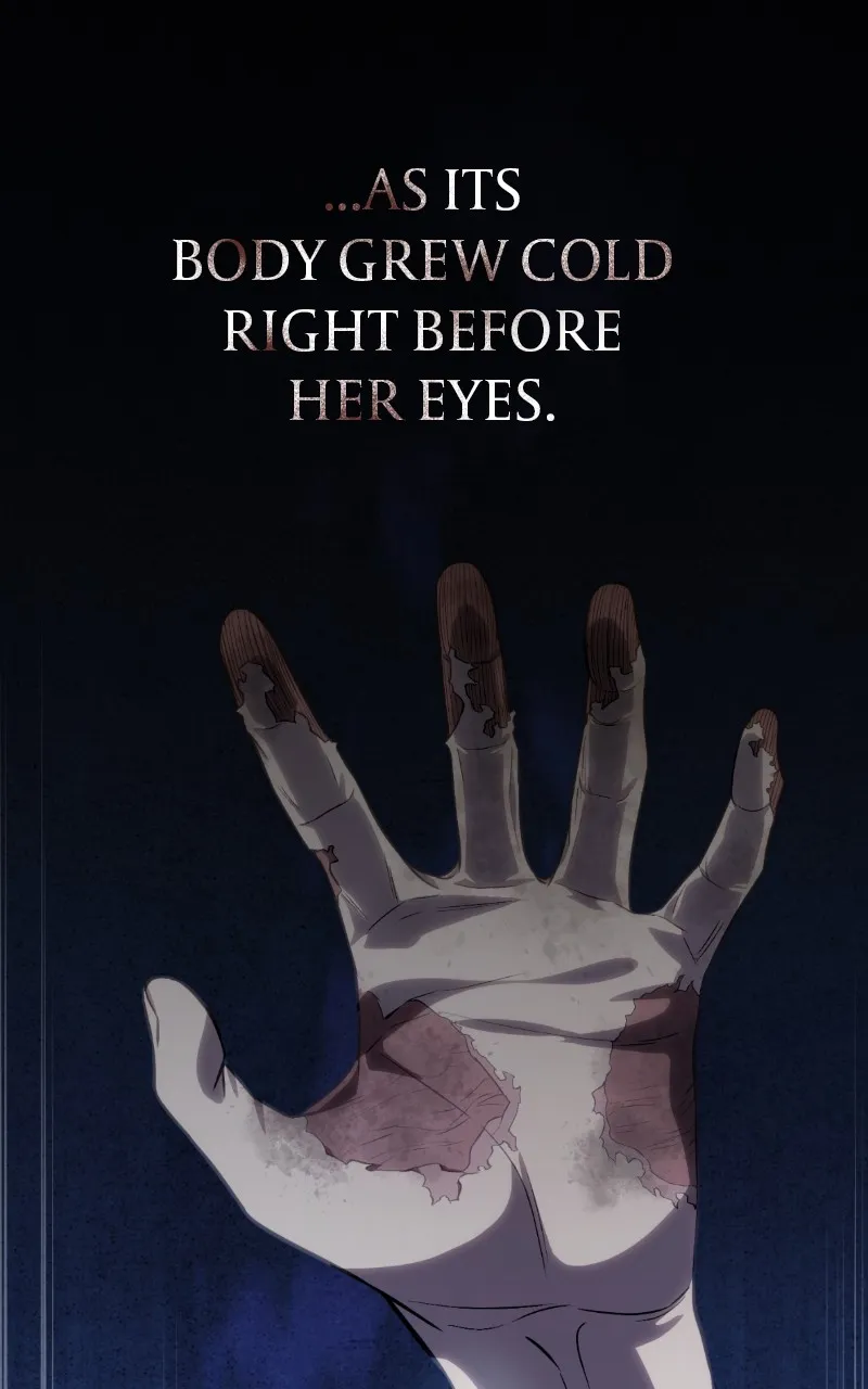 The StellarSwordmaster Chapter 11 page 155 - 