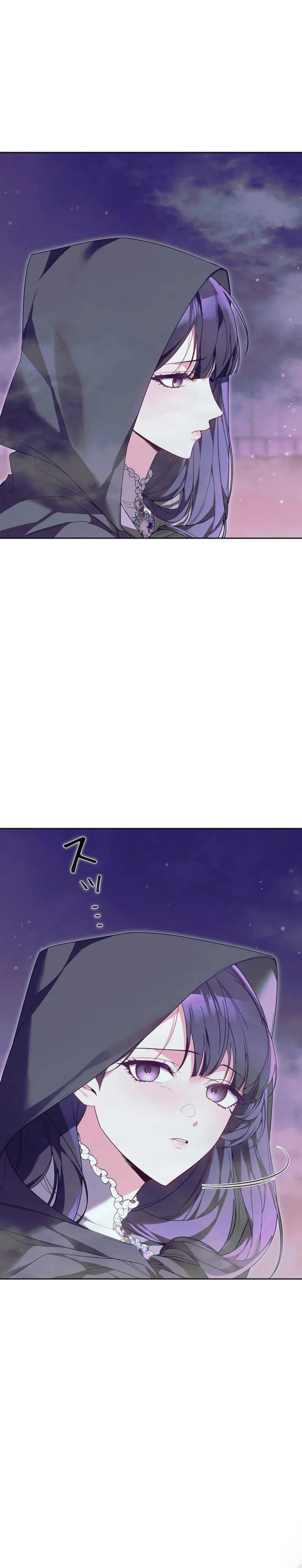 The Stepmother Has Left Chapter 5 page 5 - 