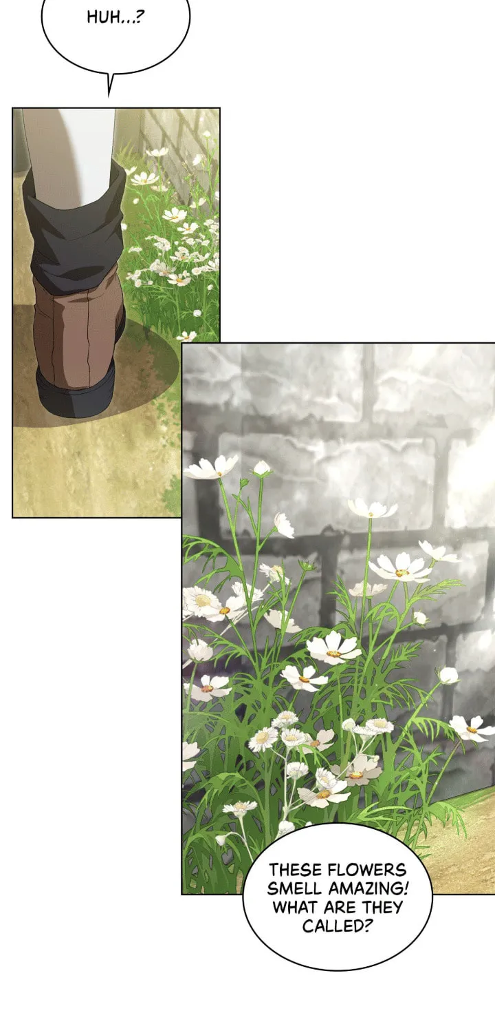 The Stone Thrown in the Lake Chapter 7 page 34 - 