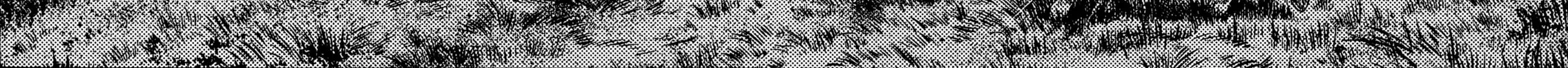 The Story of My Village Chapter 10 page 36 - 