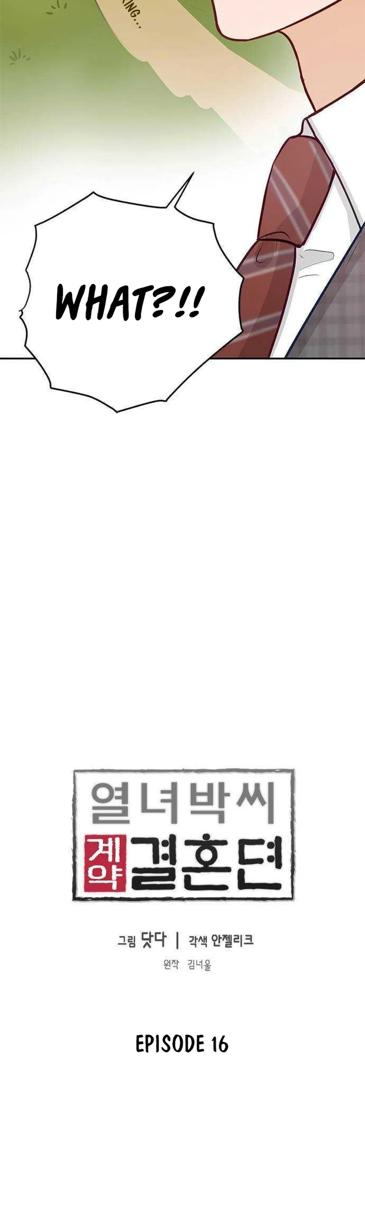 The Story Of Park’S Marriage Contract Chapter 16 page 4 - 