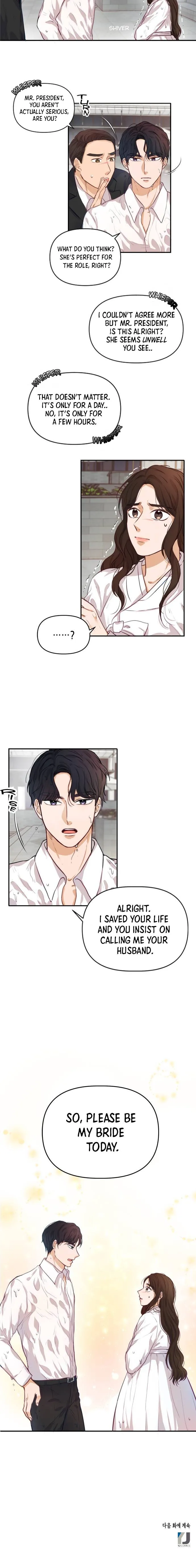 The Story Of Park’S Marriage Contract Chapter 2 page 12 - 