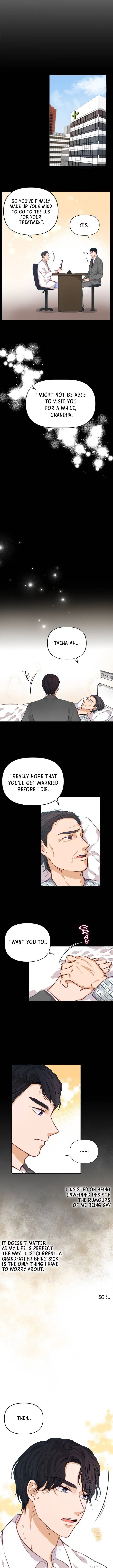 The Story Of Park’S Marriage Contract Chapter 2 page 10 - 