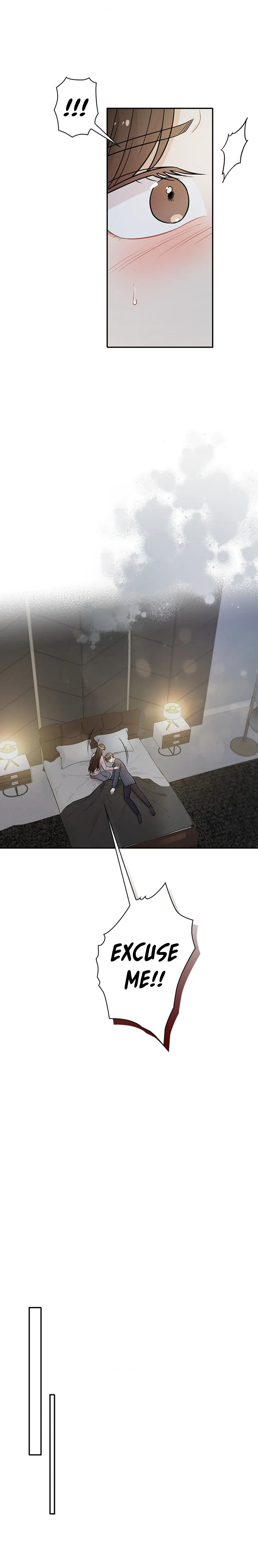 The Story Of Park’S Marriage Contract Chapter 26 page 14 - 