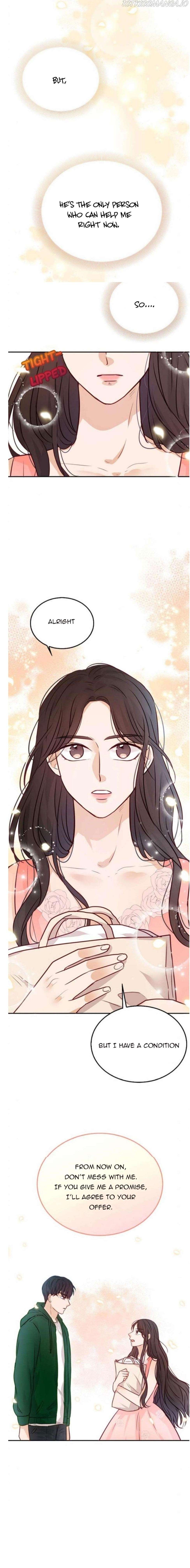 The Story Of Park’S Marriage Contract Chapter 8 page 13 - 