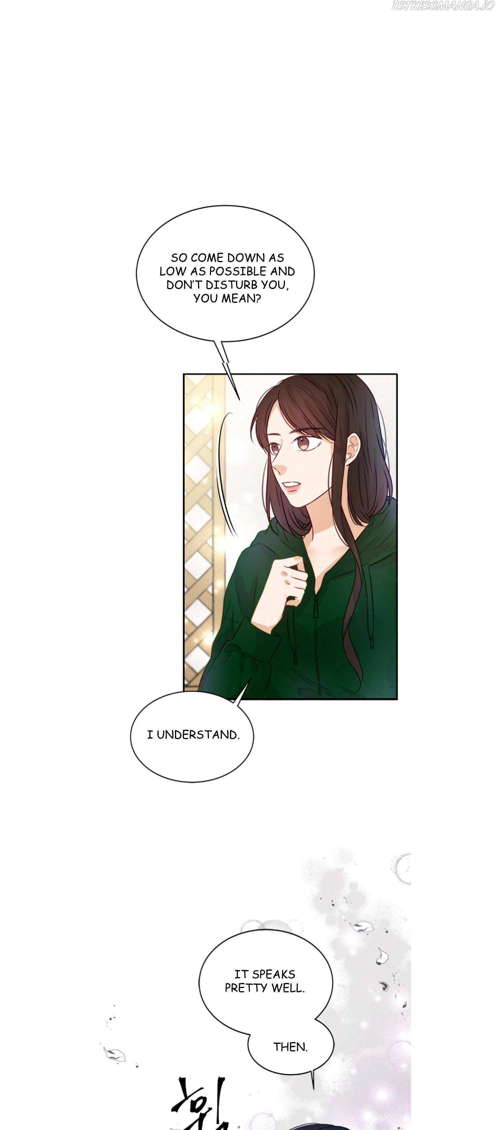 The Story Of Park’S Marriage Contract Chapter 9 page 60 - 