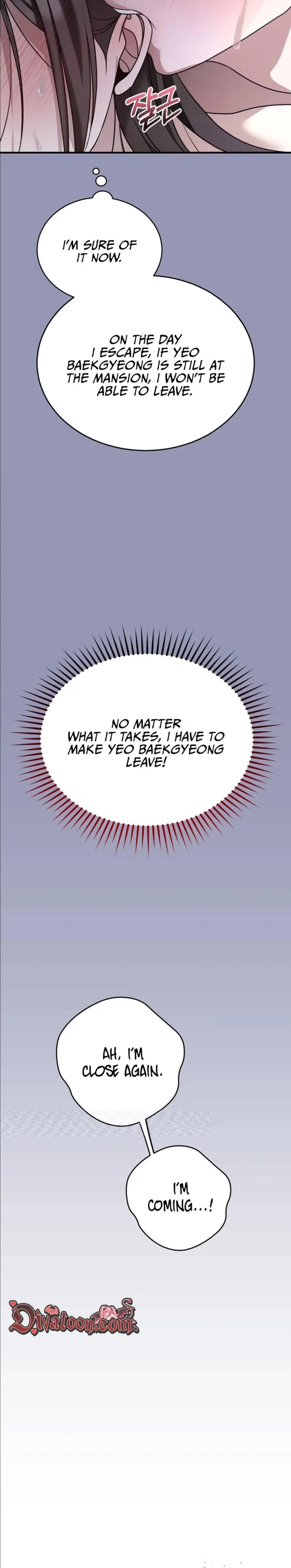 The stray dog ​​dreams of preying Chapter 24 page 5 - 