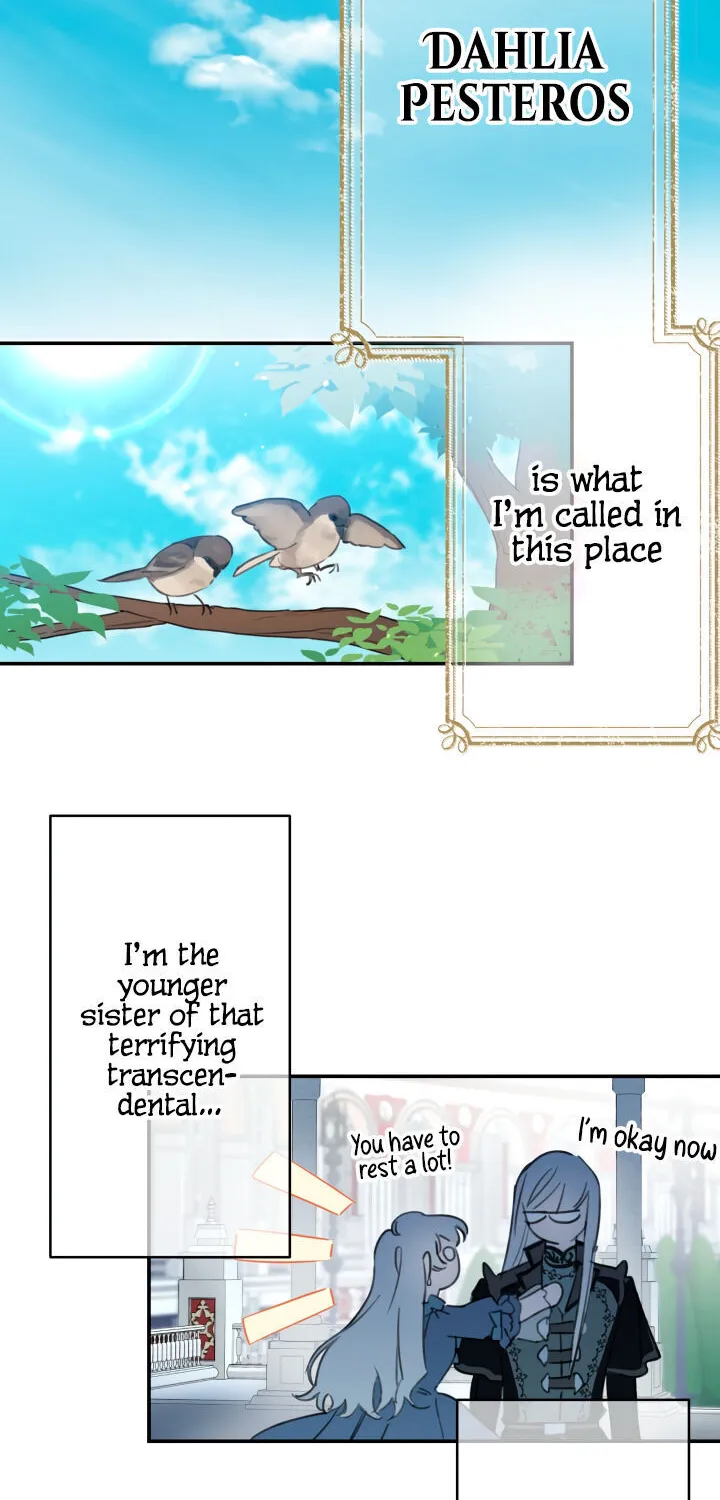 The Strongest Characters in the World are Obsessed With Me Chapter 1 page 31 - 