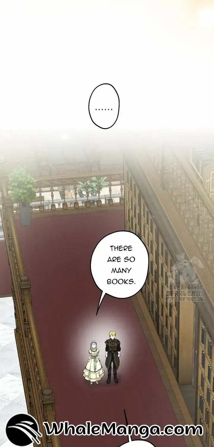 The Strongest Characters in the World are Obsessed With Me Chapter 107 page 27 - 