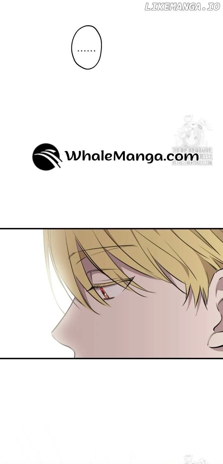 The Strongest Characters in the World are Obsessed With Me Chapter 111 page 63 - 