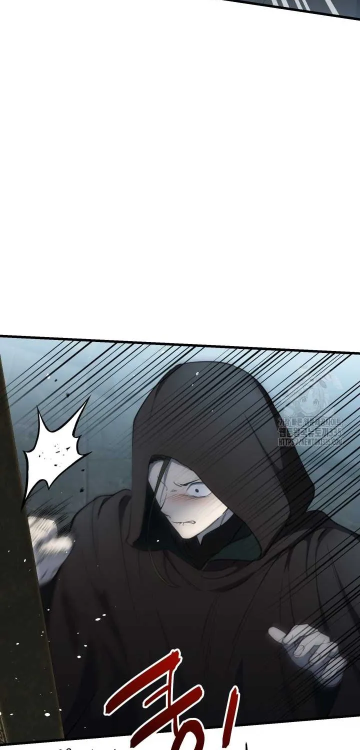 The Strongest Characters in the World are Obsessed With Me Chapter 113 page 17 - 