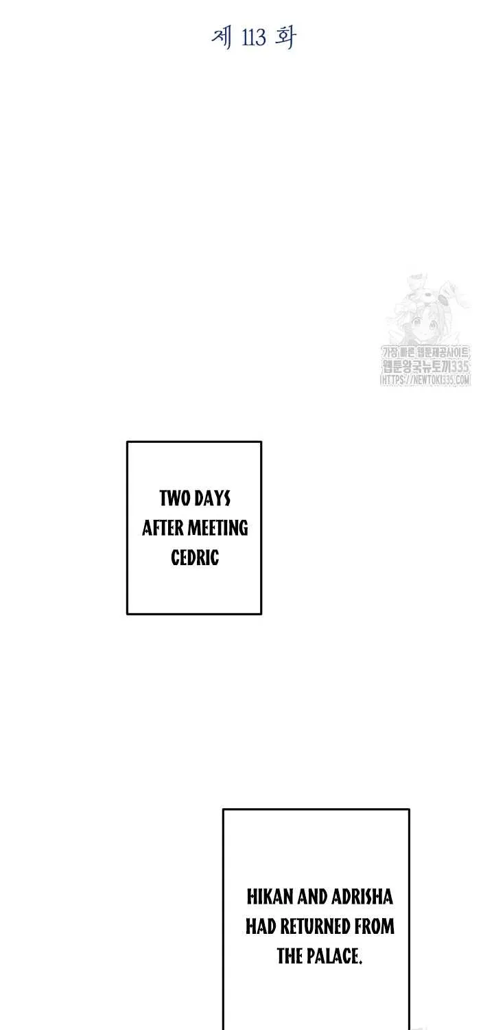 The Strongest Characters in the World are Obsessed With Me Chapter 113 page 24 - 