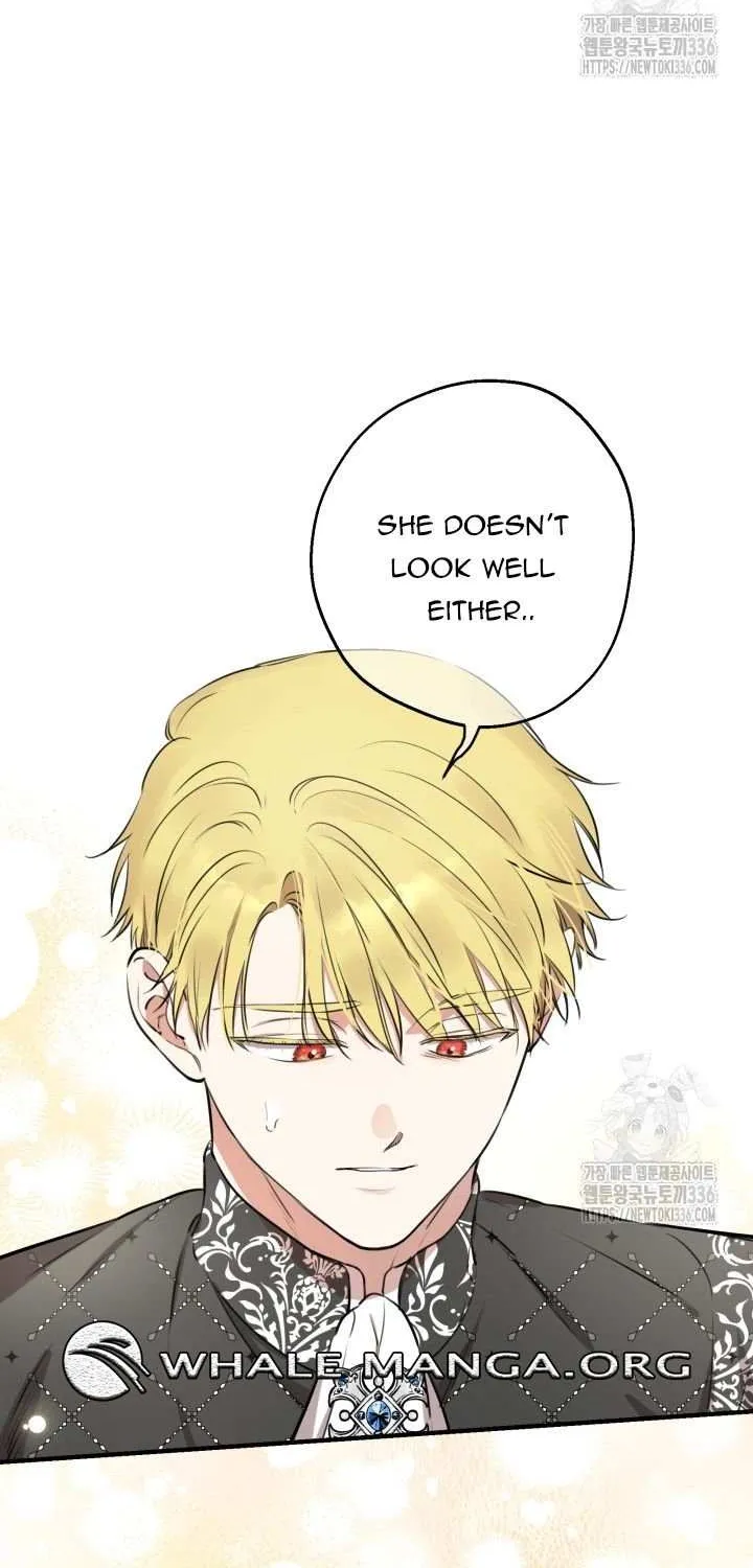 The Strongest Characters in the World are Obsessed With Me Chapter 114 page 43 - 