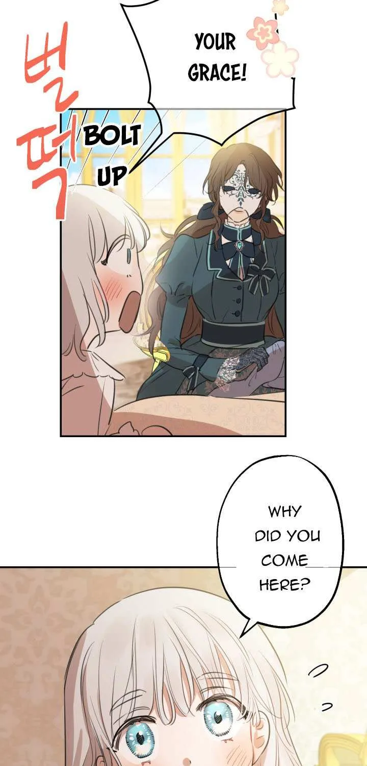 The Strongest Characters in the World are Obsessed With Me Chapter 17 page 3 - 