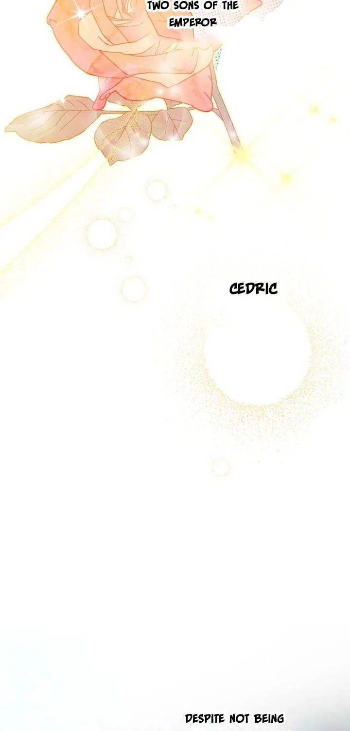 The Strongest Characters in the World are Obsessed With Me Chapter 24 page 16 - 