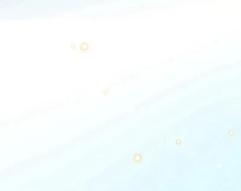 The Substitute Bride And The Overly affectionate Husband Chapter 10 page 24 - 