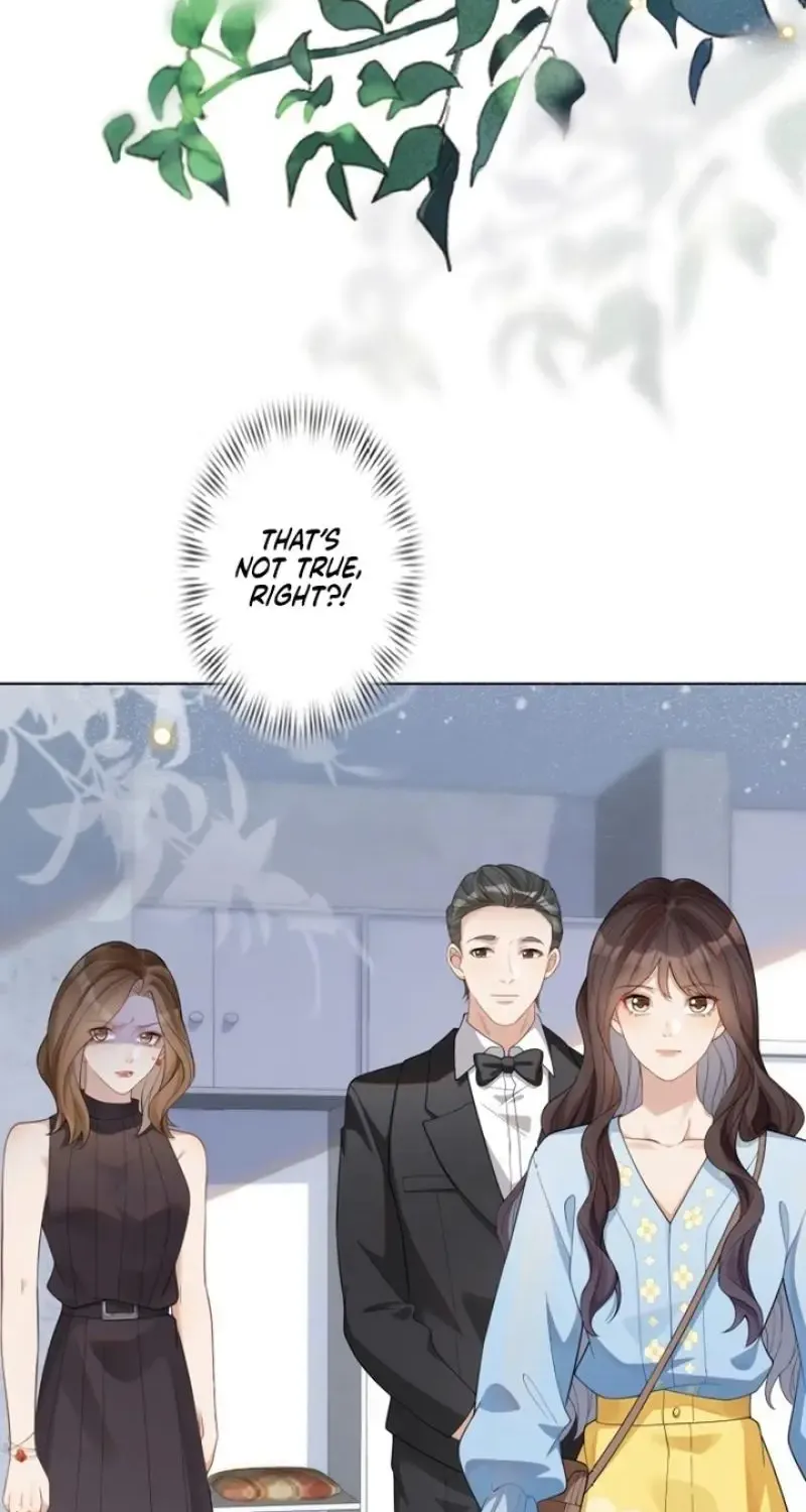 The Substitute Bride And The Overly affectionate Husband Chapter 12 page 19 - 
