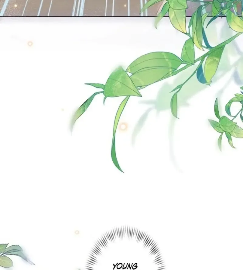 The Substitute Bride And The Overly affectionate Husband Chapter 12 page 61 - 