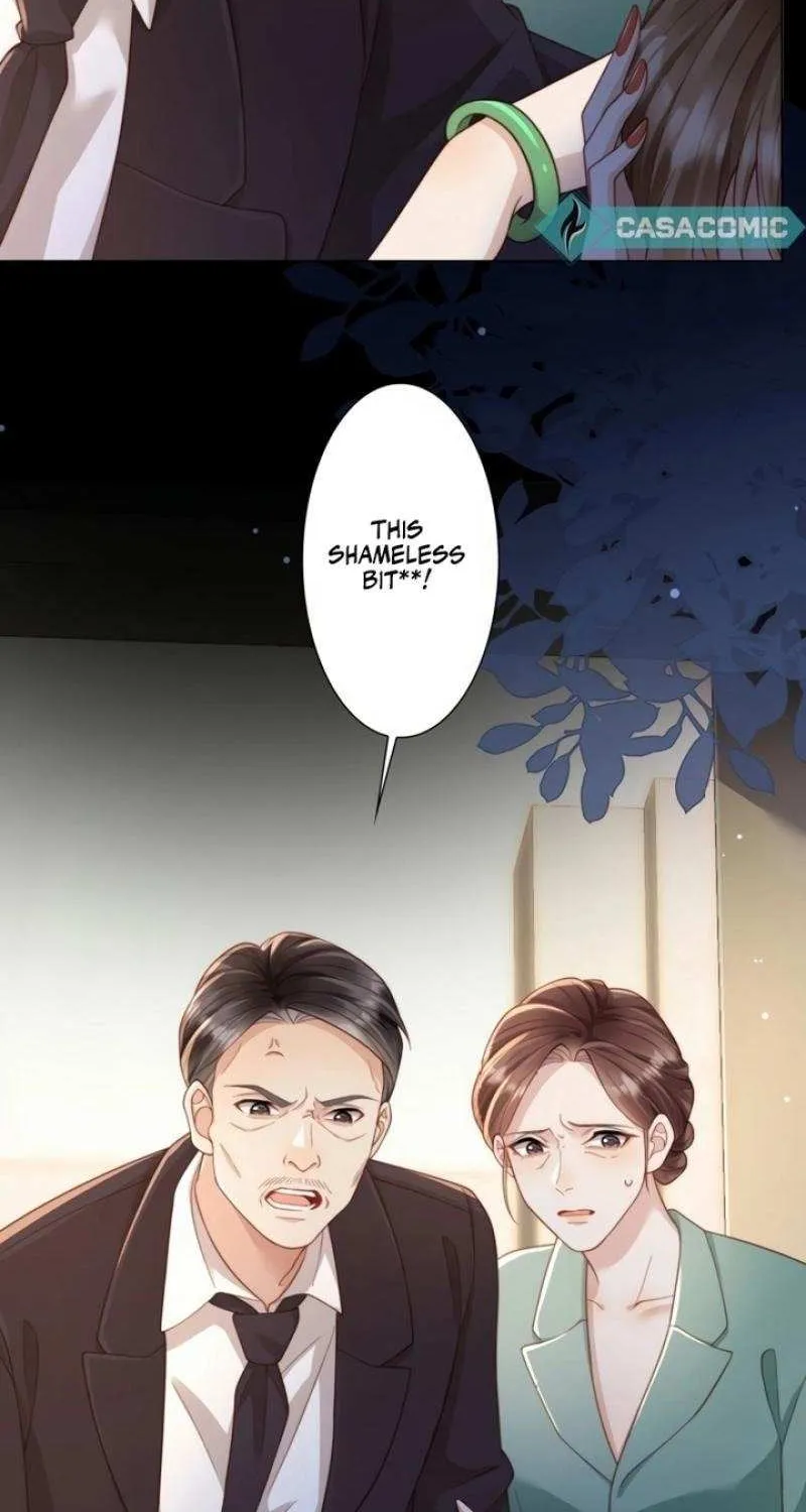 The Substitute Bride And The Overly affectionate Husband Chapter 14 page 29 - 