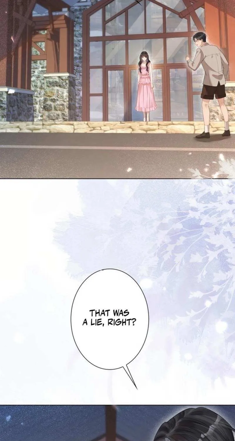 The Substitute Bride And The Overly affectionate Husband Chapter 15 page 25 - 