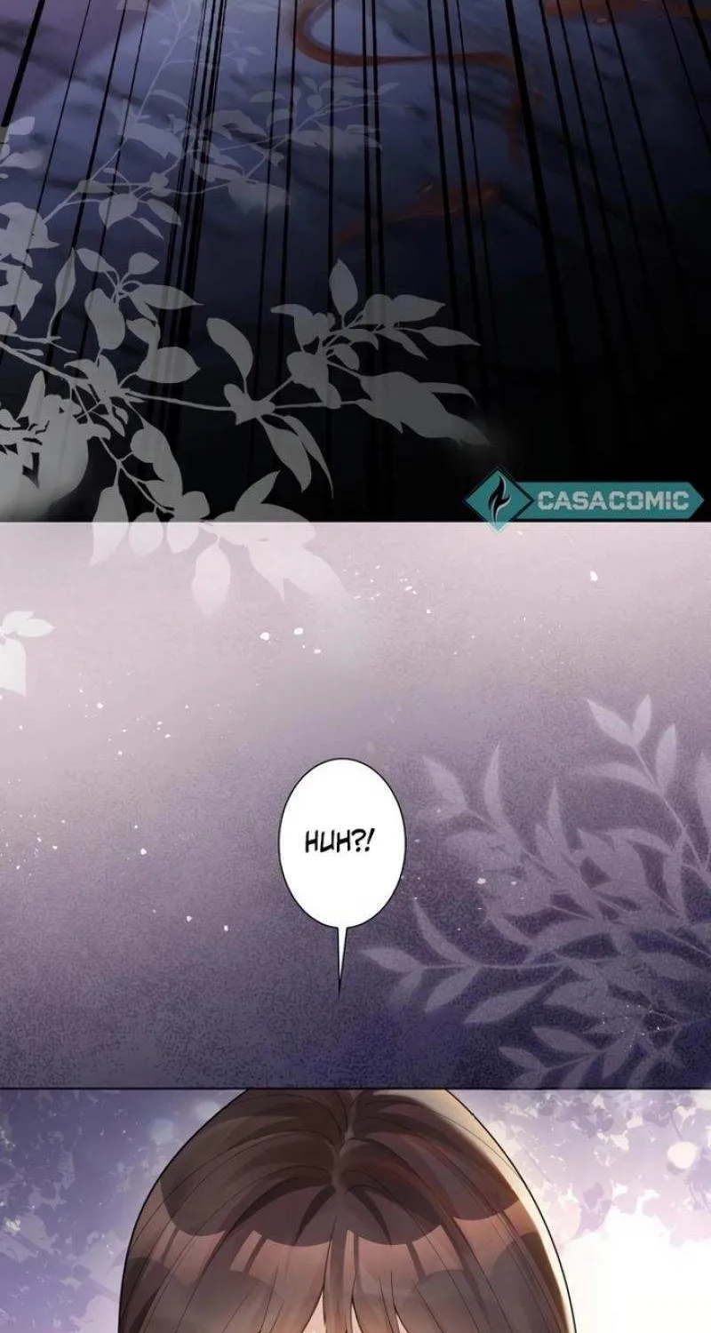 The Substitute Bride And The Overly affectionate Husband Chapter 17 page 65 - 