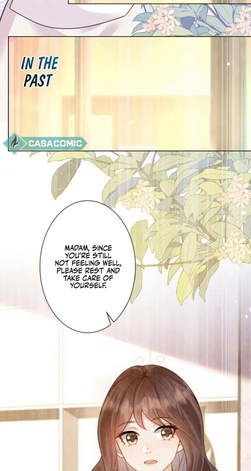 The Substitute Bride And The Overly affectionate Husband Chapter 19 page 3 - 