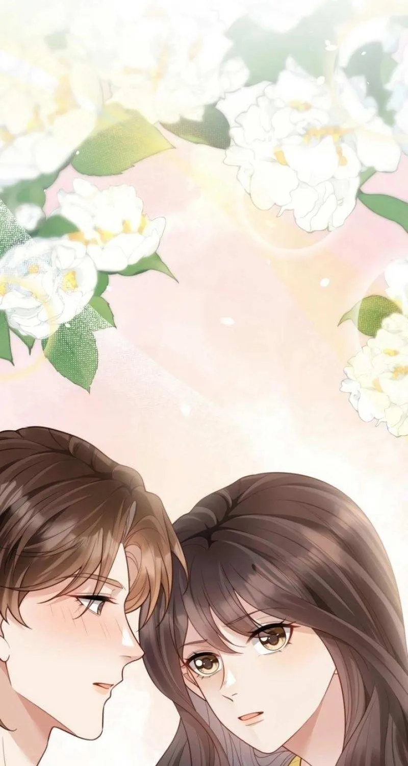 The Substitute Bride And The Overly affectionate Husband Chapter 19 page 71 - 