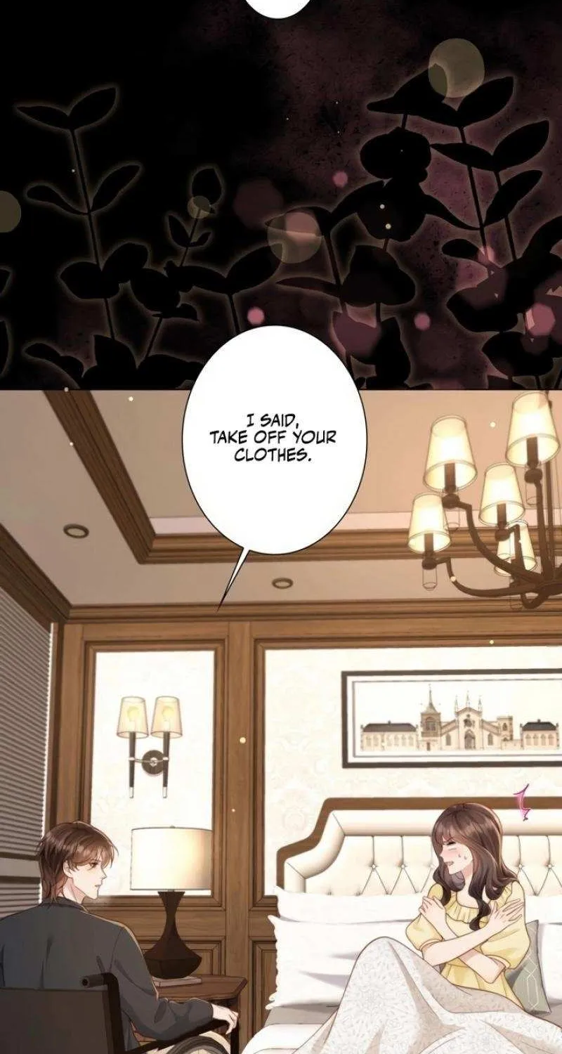 The Substitute Bride And The Overly affectionate Husband Chapter 19 page 74 - 