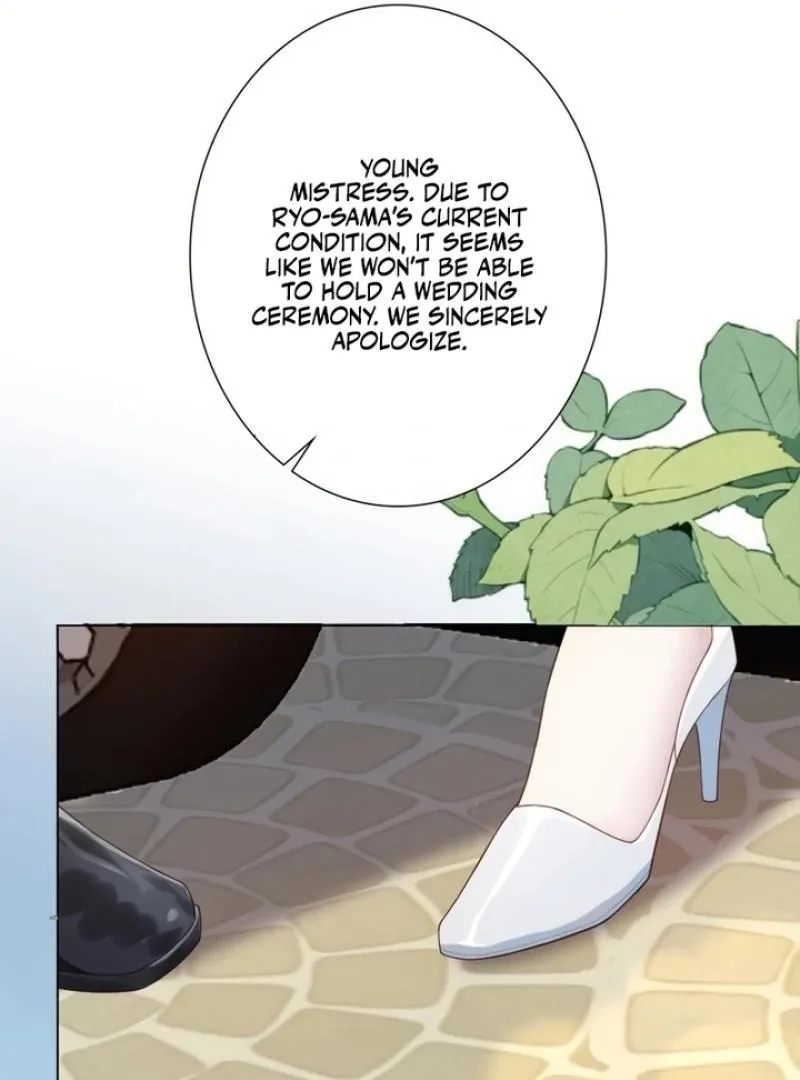 The Substitute Bride And The Overly affectionate Husband Chapter 2 page 24 - 