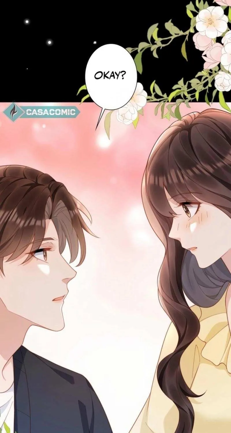 The Substitute Bride And The Overly affectionate Husband Chapter 20 page 17 - 
