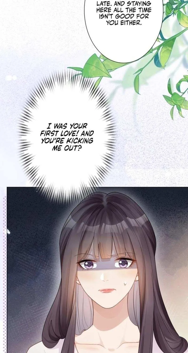 The Substitute Bride And The Overly affectionate Husband Chapter 22 page 25 - 