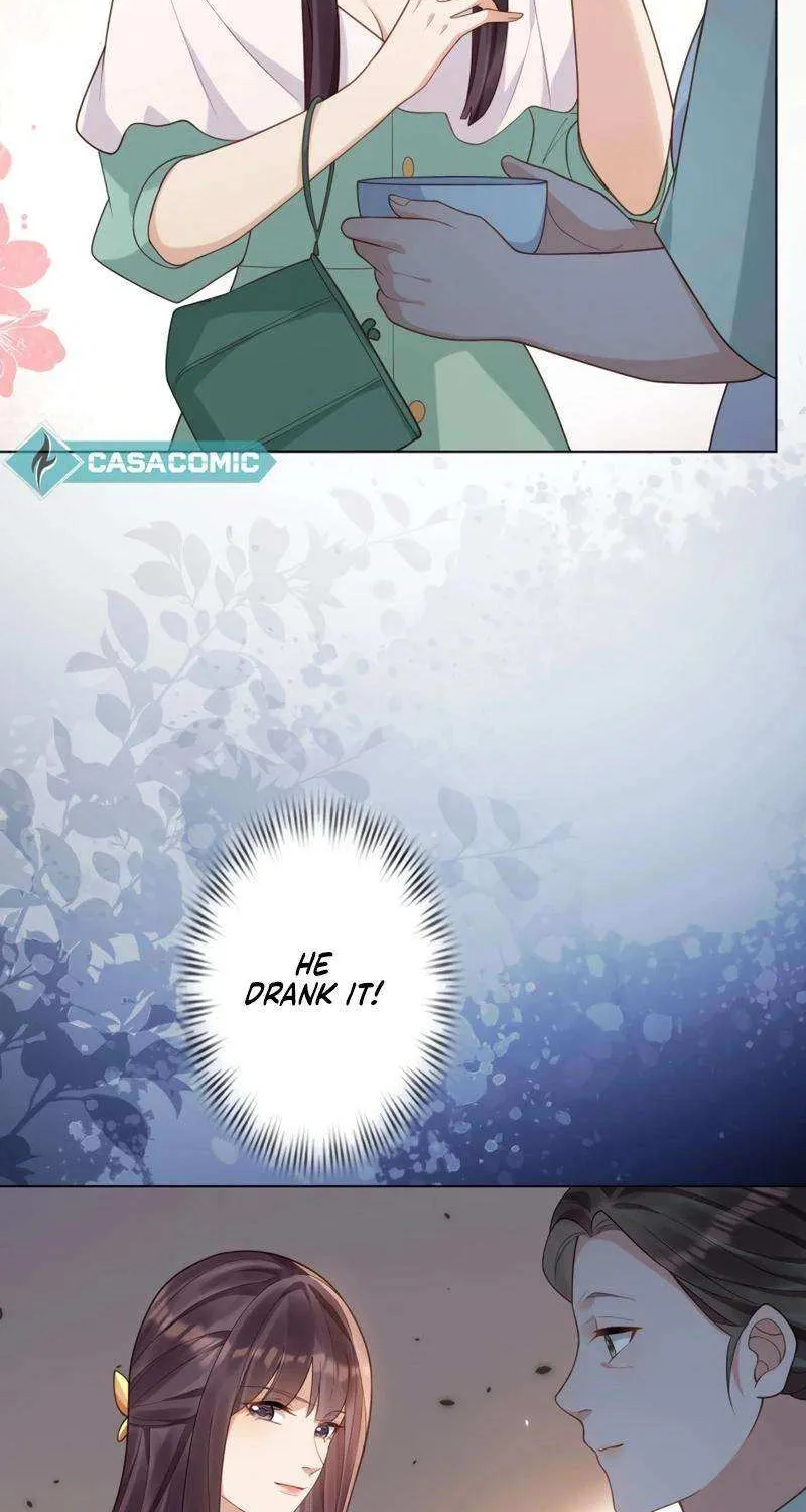 The Substitute Bride And The Overly affectionate Husband Chapter 26 page 5 - 